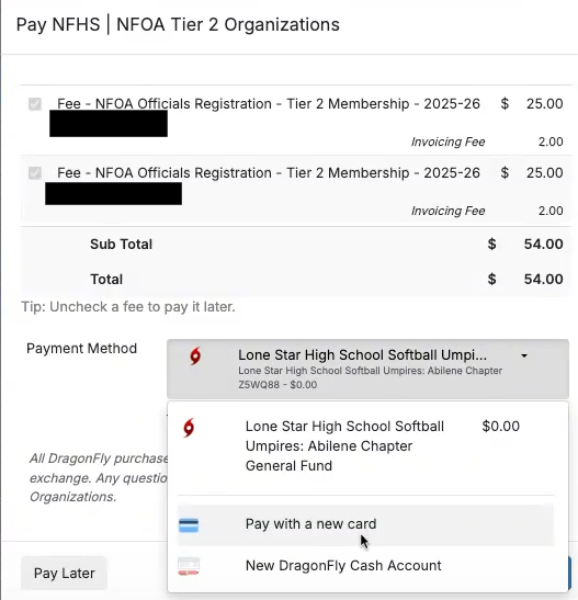 Pay Fees Step 3
