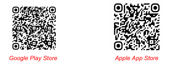 Screenshot 2026-08-10 104735